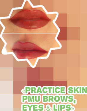 Pmu lips