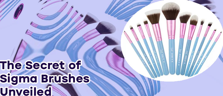 Sigma makeup brushes