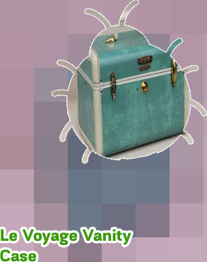 Vanity luggage case